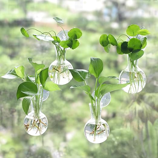 🌿 Elegant Plant Propagation Station – DIY Glass Terrarium Kit for Your Greenery 🌱 🌿